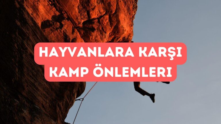 Kamp Alanında Hayvanlara Karşı Önlem Alma Yolları