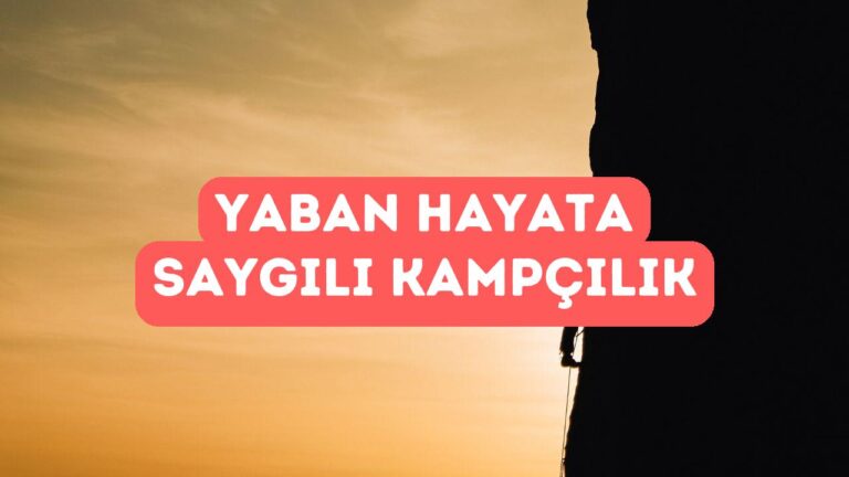 Doğada Sessizlik ve Yaban Hayatına Saygı