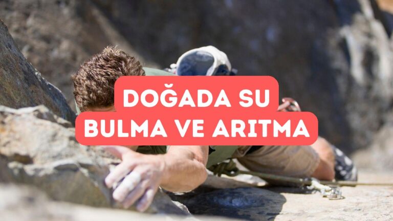 Doğada Su Bulma ve Filtreleme Yöntemleri